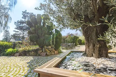 Jardin de l'établissement LA VILLA PALOMA