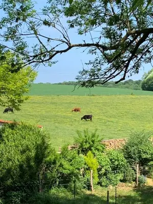 Paysage naturel près de la maison de vacances