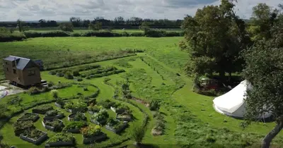 Jardin de l'établissement 