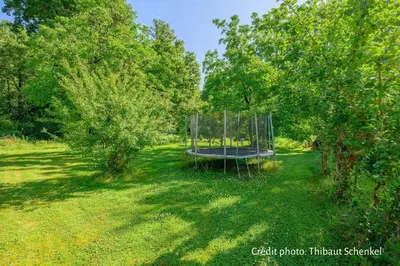Jardin de l'établissement Chambre d'hôtes Les Cinq Mésanges