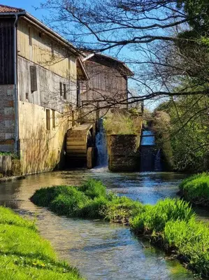 Vue sur la rivière ou le fleuve situé(e) à proximité de la maison de vacances