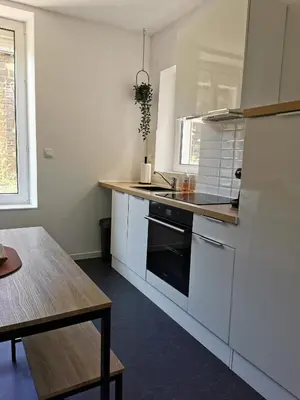 Cuisine ou kitchenette dans l'établissement Appartement La palette
