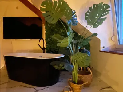 Télévision ou salle de divertissement dans l'établissement El Circo Gambetta,sublime suite balnéo hypercentre