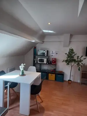 Cuisine ou kitchenette dans l'établissement Le Richelieu 3 chez Adrien
