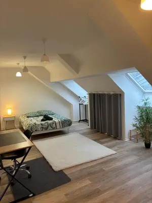 Coin salon dans l'établissement Appartement spacieux et élégant