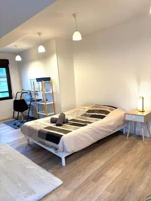 Un ou plusieurs lits dans un hébergement de l'établissement Appartement spacieux et élégant