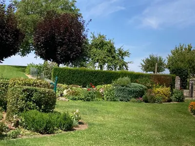 Jardin de l'établissement la Louvière