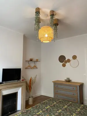 Télévision ou salle de divertissement dans l'établissement Le Cocon Rethelois.
