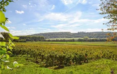 Paysage naturel près de la maison de vacances