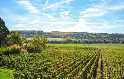 Paysage naturel près de la maison de vacances