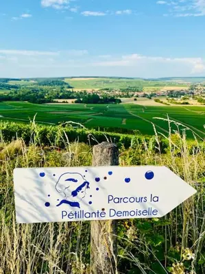 Paysage naturel près de la maison de vacances