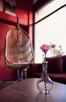 Coin salon dans l'établissement Maison les deux cèdres, 6ch, vue sublime & jardin - propriété partagée