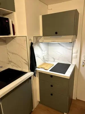 Cuisine ou kitchenette dans l'établissement Appart 500 m centre ville - gare