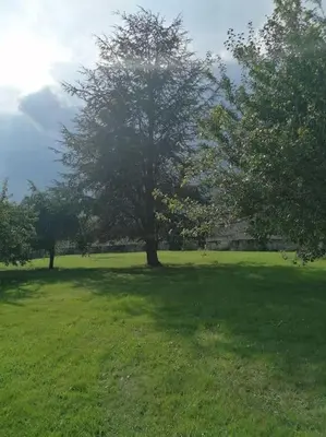 Paysage naturel près de la maison de vacances