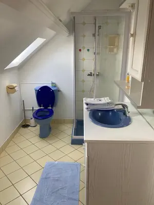 Salle de bains dans l'établissement Chez Bernard pavillon proche Disneyland et Paris