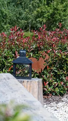 Jardin de l'établissement Gîte classé deux étoiles gite de France n 17 Signy-le-Petit