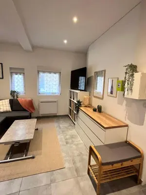 Télévision ou salle de divertissement dans l'établissement Le Rémois studio cosy hyper centre
