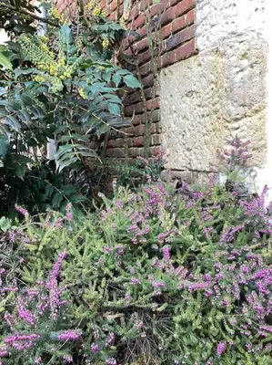 Jardin de l'établissement LE GITE LACHELLE