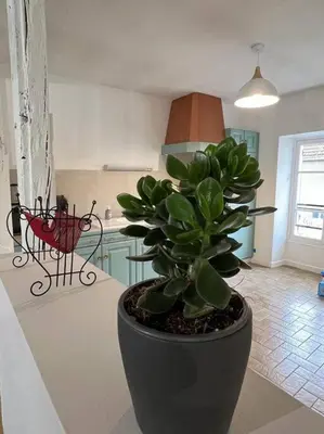 Plan de l'établissement SPACIEUSE MAISON DE VILLE avec garage privé fermé