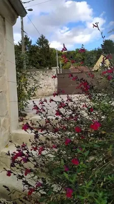 Jardin de l'établissement Gîte aux trois suites parentales et son jacuzzi