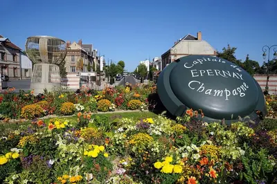 Jardin de l'établissement Appartement Avenue de Champagne