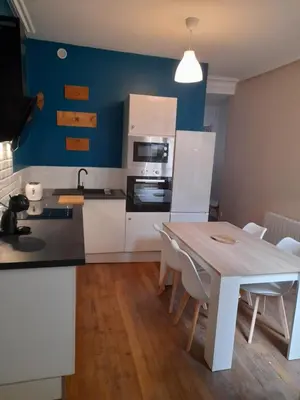 Cuisine ou kitchenette dans l'établissement Appartement Atypique