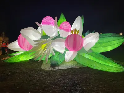 Jardin de l'établissement Le Céleste