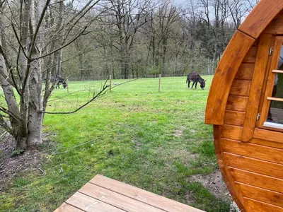 Animaux dans la maison d'hôtes ou à proximité