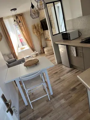 Cuisine ou kitchenette dans l'établissement Appartement Centre-ville